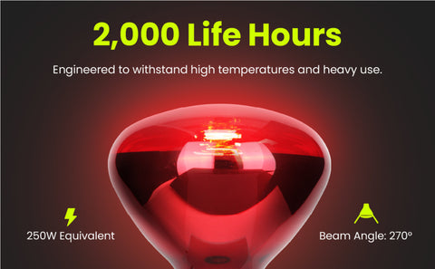 Infrared Light Bulb for Heat Lamps(for IR-300, IR-300A)