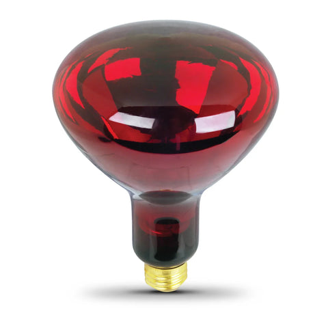 Infrared Light Bulb for Heat Lamps(for IR-300, IR-300A)