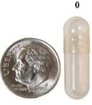 Clear Gelatin Capsule: Size #0 (=500mg), about 1000/Bag