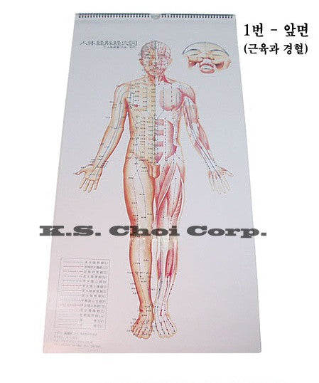 Body Acup. Point CALENDAR Chart Set
