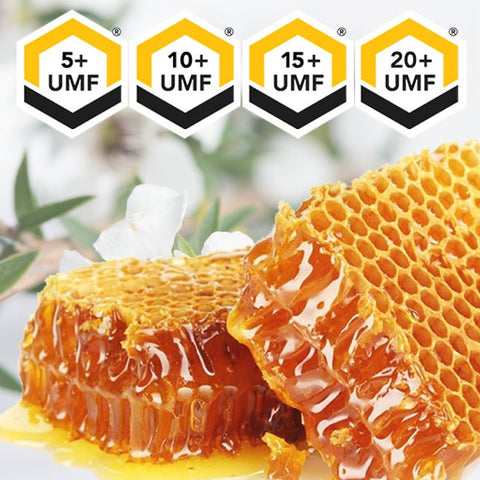 Manuka Honey UMF Pure New Zealand Honey, 1.1 lb (500g)