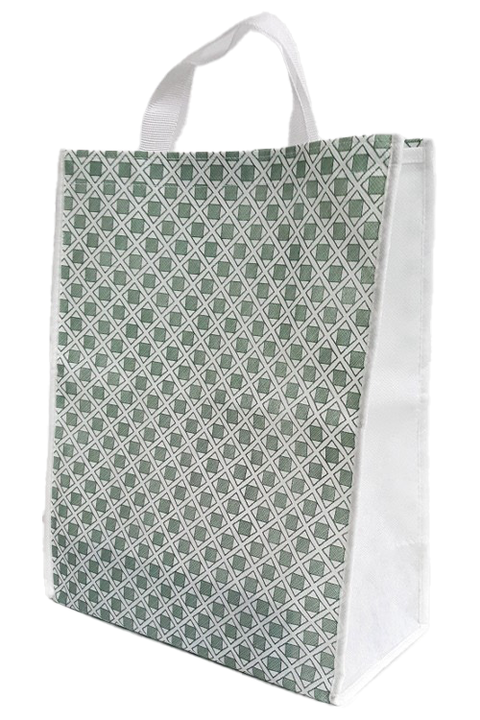 Green (Diamond) Pattern Carrying Bag with Velcro Enclosing 약가방