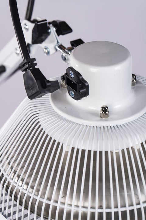 KS-9800N: Replacement TDP Head for Lamp