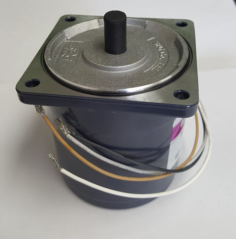 Motor for Techno Packing Machine