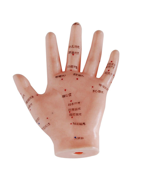 Hand Model